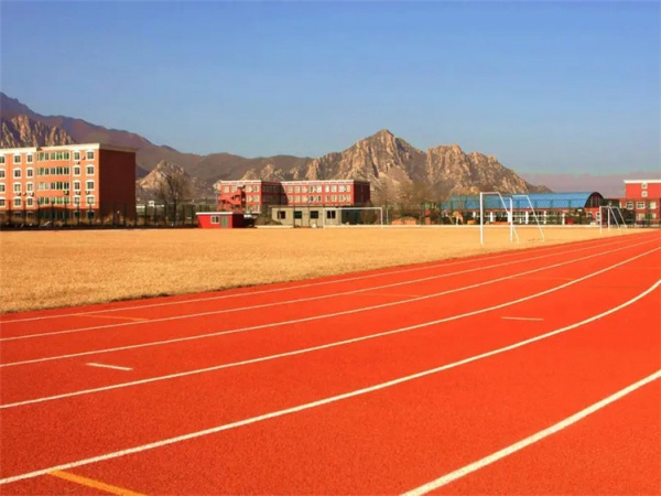 临沧市橡胶颗粒学校塑胶跑道 - 价格